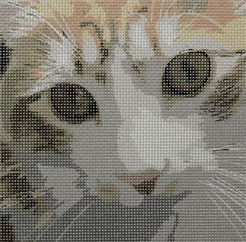 комплект за бродиране pepita: Любопитна Котка, 10 x 10