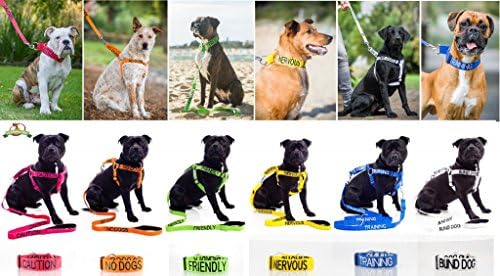 Нашийник за кучета с неопреновой подплата Dexil Limited DO NOT ПЕТ Червен цвят с кодиране S-M-L-XL Предотвратява злополуки, предварително да предупреди другите за вашето куче (L-XL)