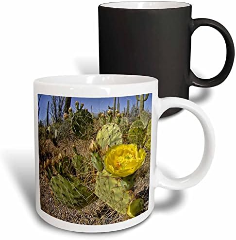 3дрозный кактус с жълто цвете в националния парк Източен Saguaro в Аризона Керамична чаша, 11 грама